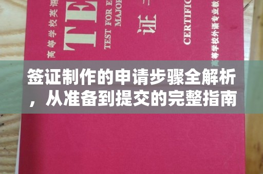 兰山签证制作的申请步骤全解析，从准备到提交的完整指南