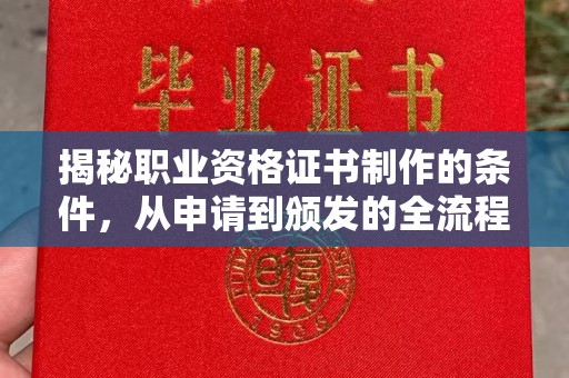 兰山揭秘职业资格证书制作的条件，从申请到颁发的全流程解析