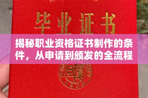 兰山揭秘职业资格证书制作的条件，从申请到颁发的全流程解析