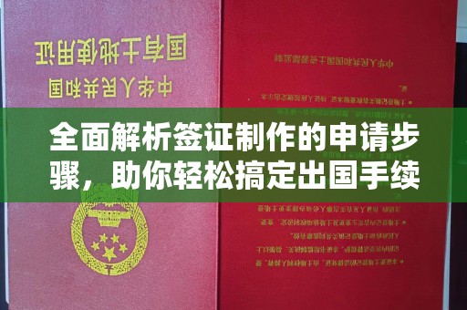 兰山全面解析签证制作的申请步骤，助你轻松搞定出国手续