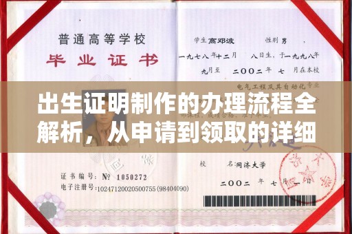 兰山出生证明制作的办理流程全解析，从申请到领取的详细指南